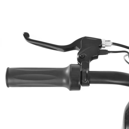 Elektrinis motociklas Hecht 59150 žalias