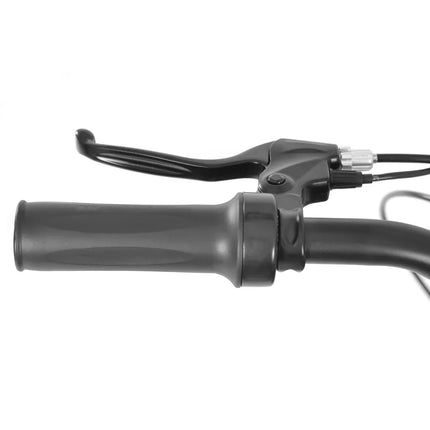 Elektrinis motociklas Hecht 59150 raudonas