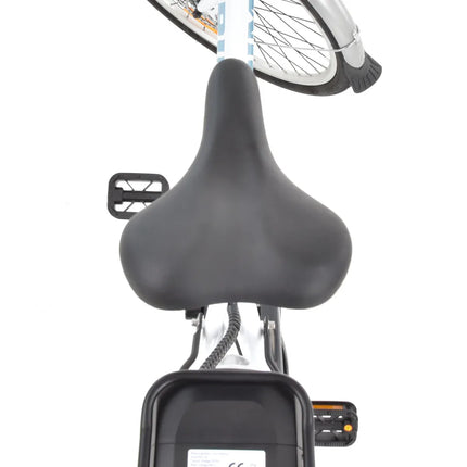 Elektrinis dviratis Hecht prime baltas 26"