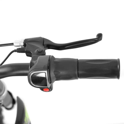 Elektrinis motociklas Hecht 59150 žalias