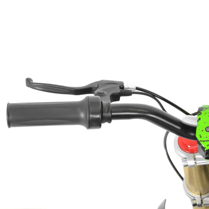 Elektrinis motociklas Hecht 59100 žalias