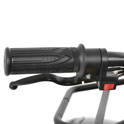 Elektrinis keturratis Hecht 56100 raudonas