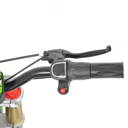 Elektrinis motociklas Hecht 59100 žalias
