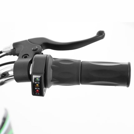 Akumuliatorinis krosinis motociklas HECHT 54501, 500 W