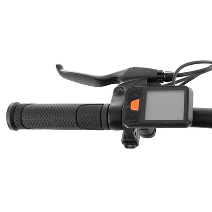 Elektrinis dviratis HECHT COMPOS XL GRAY, 250W