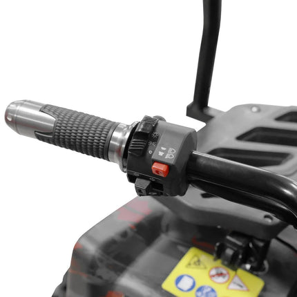 Elektrinis krovininis keturratis Hecht Cargo