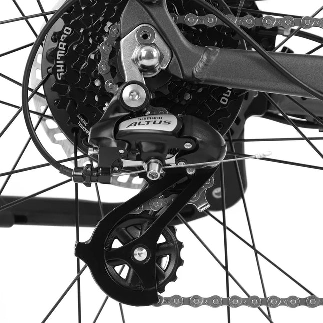 Elektrinis dviratis Hecht leonis pilkas 28"