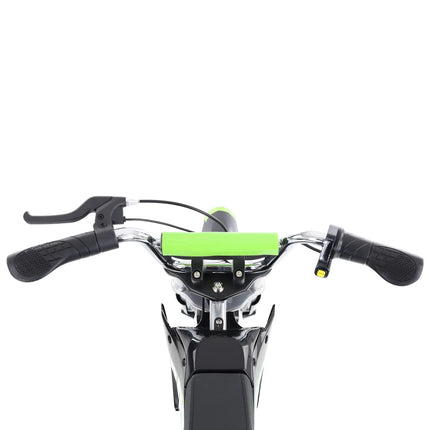 Elektrinis motociklas Hecht 54300 žalias