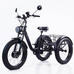 Elektrinis triratis DZEV2009, 18Ah, 20''
