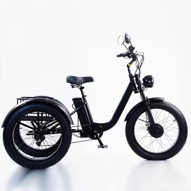 Elektrinis triratis DZEV2009, 18Ah, 20''