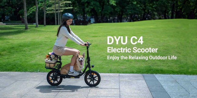 14" Elektrinis paspirtukas DYU C4, 10Ah, 250W,