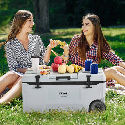 Nešiojama šaldymo dėžė VEVOR HS915, 70 l talpos