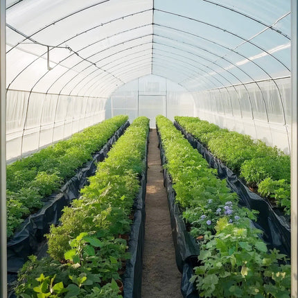 Polietileno plėvelė VEVOR YF20FT100FTB, 6,1 x 30,5 m, 0,25 mm
