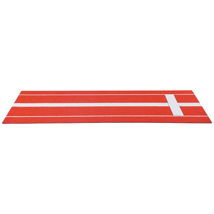 Softbolo metimo kilimėlis VEVOR GRS10x3FT-RED, 305x92 cm