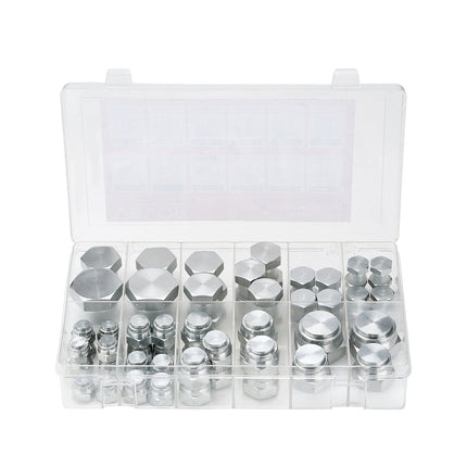 Hidraulinių jungčių aklės ir kamščiai VEVOR BSPP 64PCS-SS, 64 vnt. rinkinys